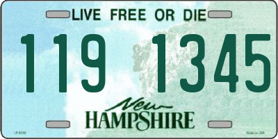 NH license plate 1191345