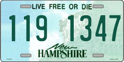 NH license plate 1191347