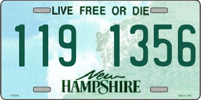 NH license plate 1191356