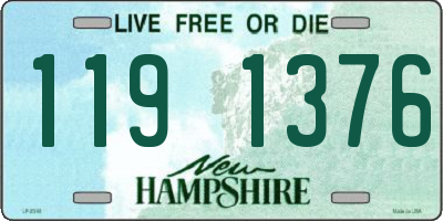 NH license plate 1191376