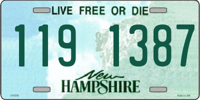 NH license plate 1191387