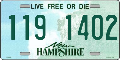 NH license plate 1191402