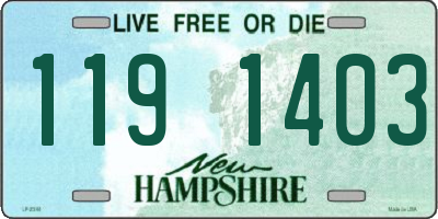 NH license plate 1191403