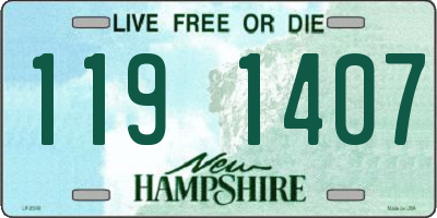 NH license plate 1191407