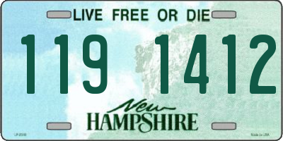 NH license plate 1191412