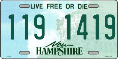 NH license plate 1191419