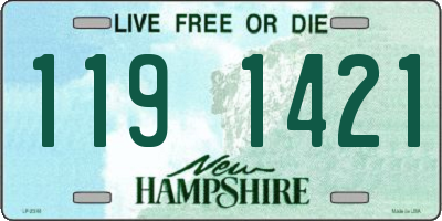 NH license plate 1191421