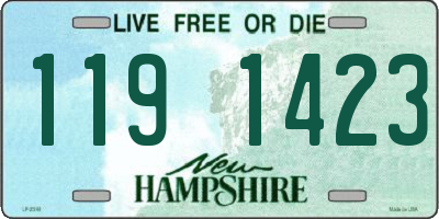 NH license plate 1191423