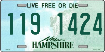 NH license plate 1191424