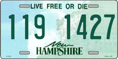 NH license plate 1191427