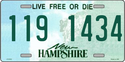 NH license plate 1191434