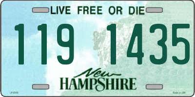 NH license plate 1191435