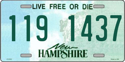 NH license plate 1191437