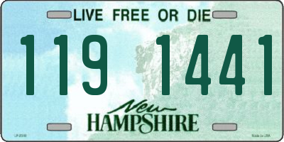 NH license plate 1191441