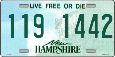 NH license plate 1191442