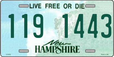 NH license plate 1191443