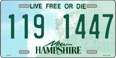 NH license plate 1191447