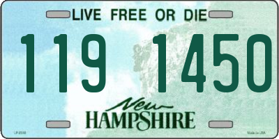 NH license plate 1191450