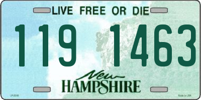 NH license plate 1191463
