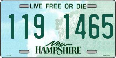 NH license plate 1191465