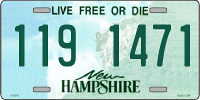 NH license plate 1191471