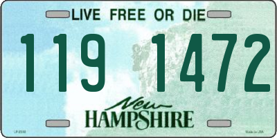 NH license plate 1191472