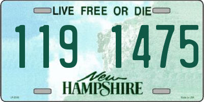 NH license plate 1191475