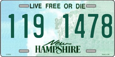 NH license plate 1191478