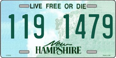 NH license plate 1191479