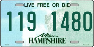 NH license plate 1191480