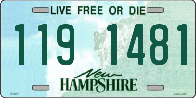 NH license plate 1191481