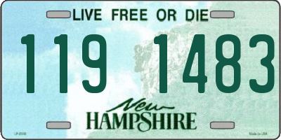 NH license plate 1191483