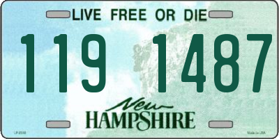 NH license plate 1191487