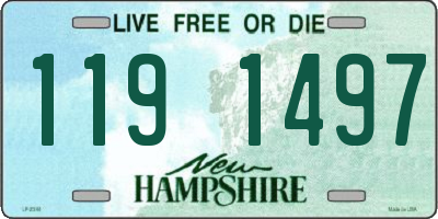 NH license plate 1191497