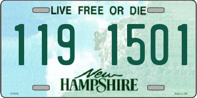 NH license plate 1191501