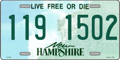 NH license plate 1191502