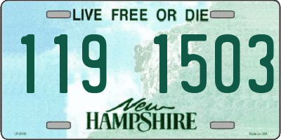 NH license plate 1191503