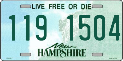 NH license plate 1191504