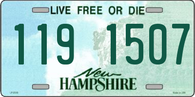 NH license plate 1191507