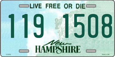 NH license plate 1191508