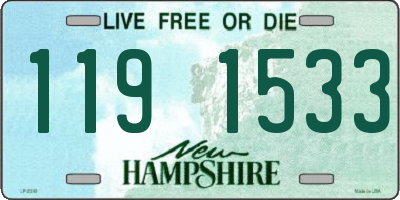 NH license plate 1191533