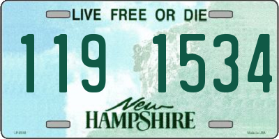 NH license plate 1191534