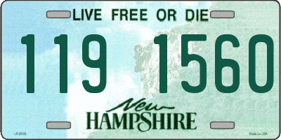 NH license plate 1191560