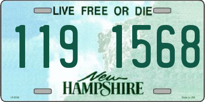 NH license plate 1191568