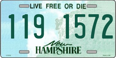 NH license plate 1191572