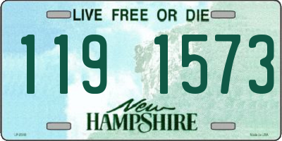 NH license plate 1191573