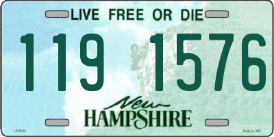 NH license plate 1191576