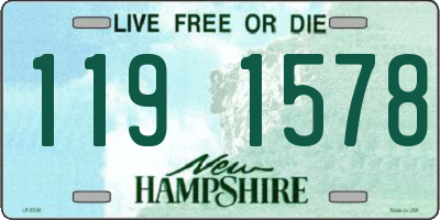 NH license plate 1191578
