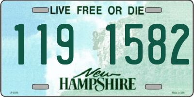 NH license plate 1191582
