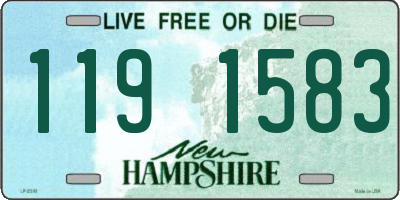 NH license plate 1191583
